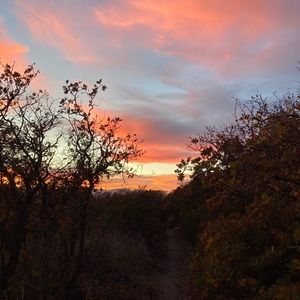 Meet your Posher, Chloe